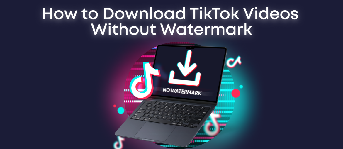 How to Download TikTok Videos Without Watermark on PC