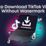 How to Download TikTok Videos Without Watermark on PC