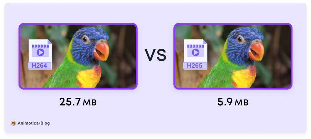 The video file size comparision between H.264 and H.265 video codecs